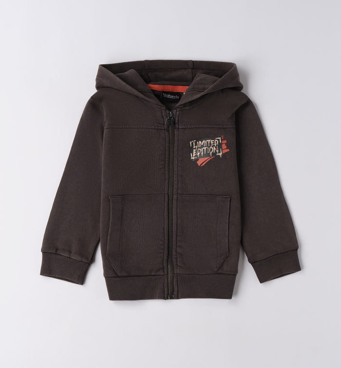 деталь Chlapecká mikina s kapucí a nápisem LIMITED EDITION SARABANDA