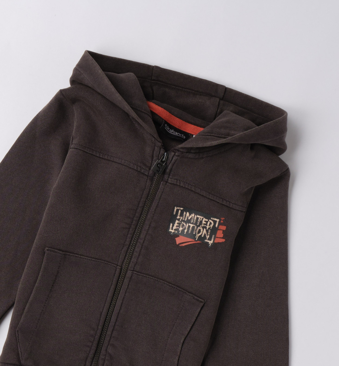 деталь Chlapecká mikina s kapucí a nápisem LIMITED EDITION SARABANDA