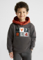 предварительный просмотр Sweatshirt with embroidery for a boy