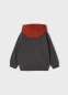 предварительный просмотр Sweatshirt with embroidery for a boy